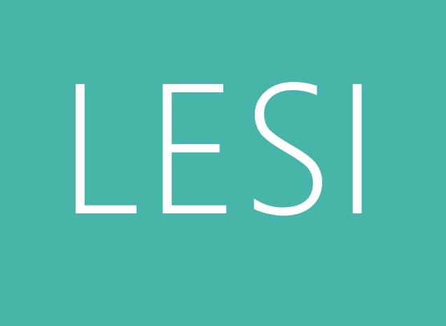 Customizable Boxes by LESI – Perfect for All Your Needs